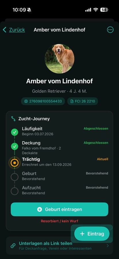 Zucht-Journey einer Hündin